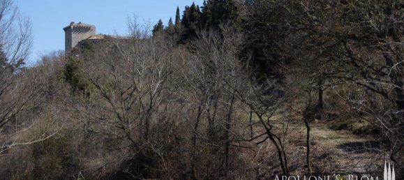 3 chambres Maison à San Casciano dei Bagni, Italy No. 56901 18