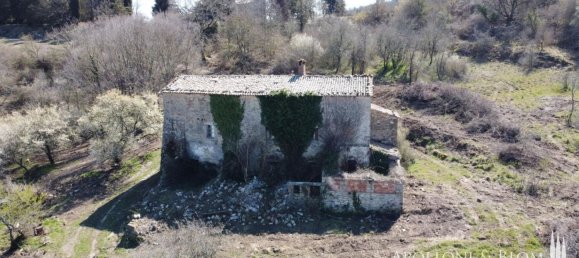 3 chambres Maison à San Casciano dei Bagni, Italy No. 56901 19
