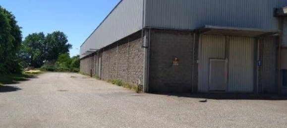4164m² Warehouse in Cassolnovo, Italy No. 152180 20