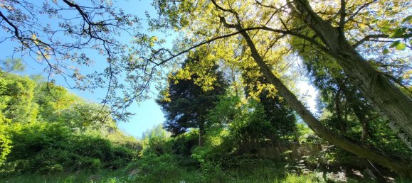  Land in Gablitz, Austria No. 134955 4