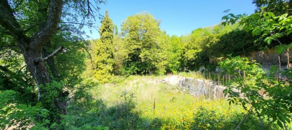  Land in Gablitz, Austria No. 134955 3