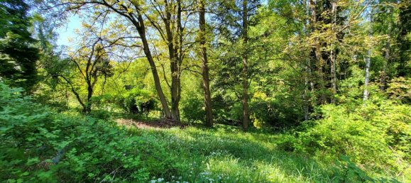  Land in Gablitz, Austria No. 134955 5