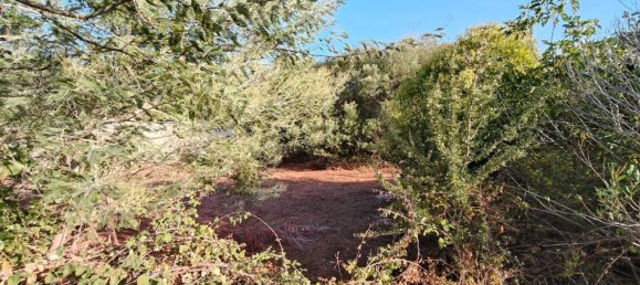 Terreno en Lecce, Italy No. 331658 41