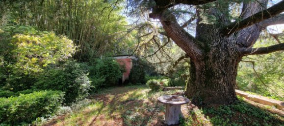 12 chambres Villa à Tregnago, Italy No. 329672 4