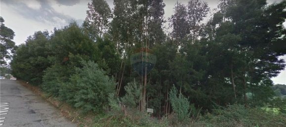 4270m² Land in Sao Joao de Ver, Portugal No. 81003 2