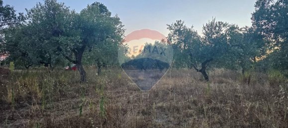 Земельный участок с 1 комнатой в Торревеккья Театина, Италия № 106976 3