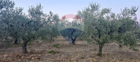 Земельный участок с 1 комнатой в Торревеккья Театина, Италия № 106976 4