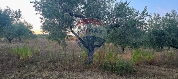 Земельный участок с 1 комнатой в Торревеккья Театина, Италия № 106976 2