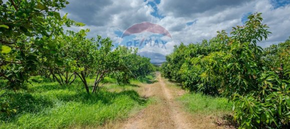 Grundstück in Calatabiano, Italy, Nr. 370854 9