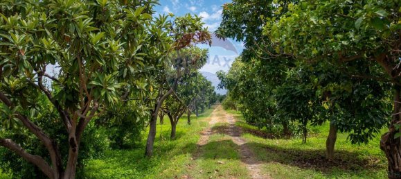 Grundstück in Calatabiano, Italy, Nr. 370854 13