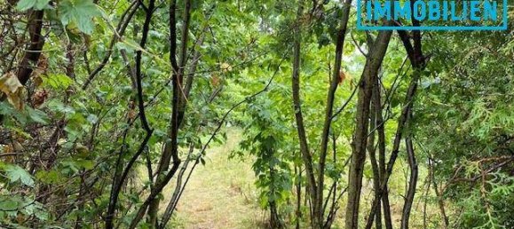  Land in Tulbing, Austria No. 212464 3