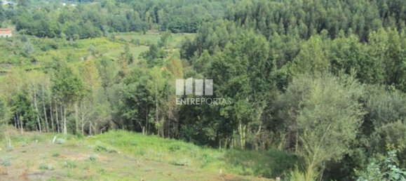 Grundstück in Marco de Canaveses, Portugal 3050m², Nr. 59036 8