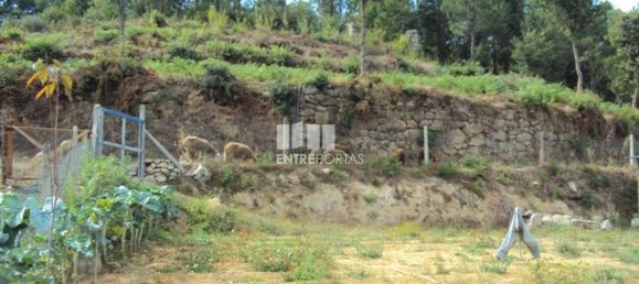 Grundstück in Marco de Canaveses, Portugal 3050m², Nr. 59036 7