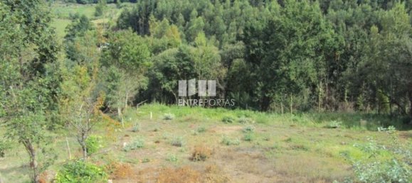 Grundstück in Marco de Canaveses, Portugal 3050m², Nr. 59036 17