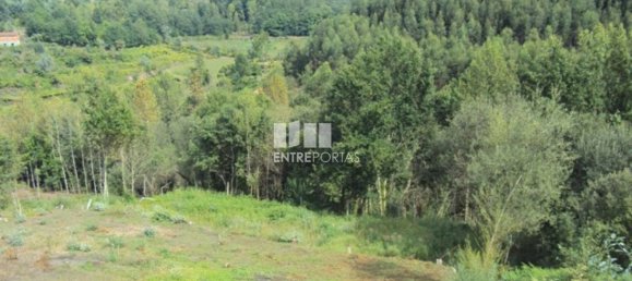 Grundstück in Marco de Canaveses, Portugal 3050m², Nr. 59036 14