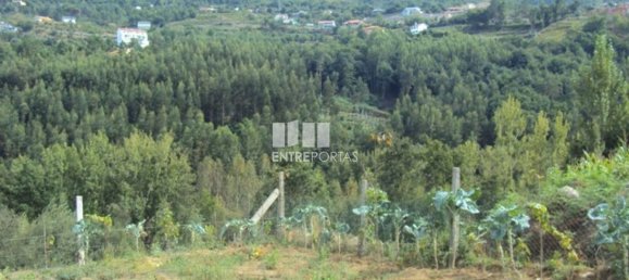 Grundstück in Marco de Canaveses, Portugal 3050m², Nr. 59036 5