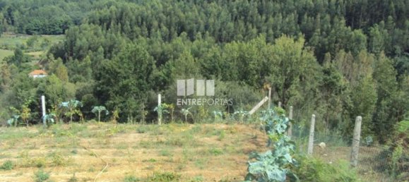 Grundstück in Marco de Canaveses, Portugal 3050m², Nr. 59036 2