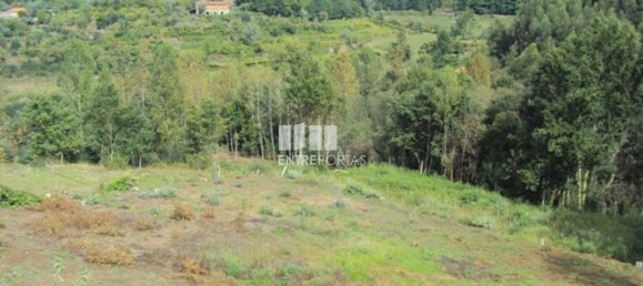 Grundstück in Marco de Canaveses, Portugal 3050m², Nr. 59036 15