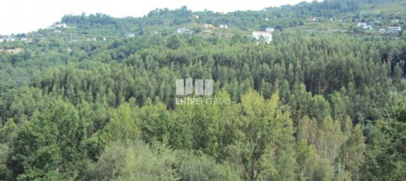 Grundstück in Marco de Canaveses, Portugal 3050m², Nr. 59036 12