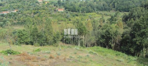 Grundstück in Marco de Canaveses, Portugal 3050m², Nr. 59036 9