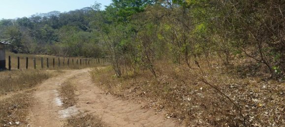 Terrain à Tamarindo, Costa Rica No. 1373 2
