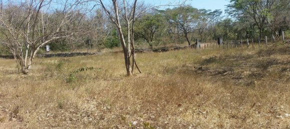 Terrain à Tamarindo, Costa Rica No. 1373 3