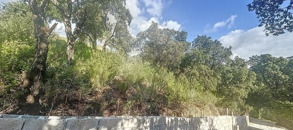 قطعة أرض في Tavaco, France 1751متر مربع رقم 152469 6