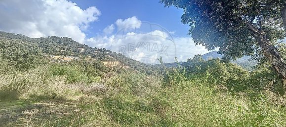 قطعة أرض في Tavaco, France 1751متر مربع رقم 152469 7