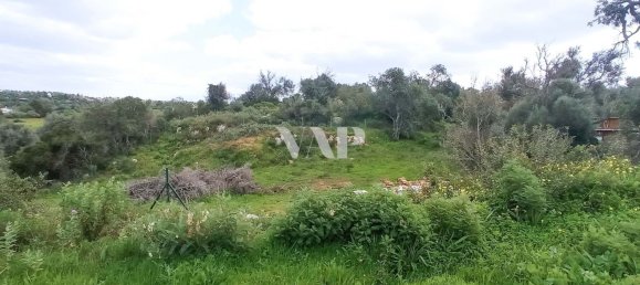  قطعة أرض في Guia, Portugal 2000متر مربع رقم 10084 17