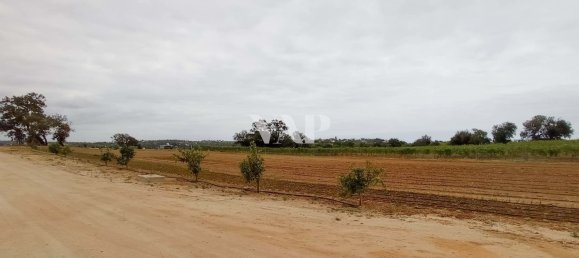  قطعة أرض في Guia, Portugal 2000متر مربع رقم 10084 11