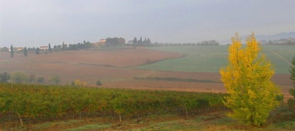 Studio in Cortona, Italy, Nr. 1458 2