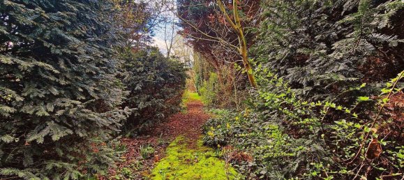 5-Zimmer Haus in Schaumburg, Germany, Nr. 188030 14