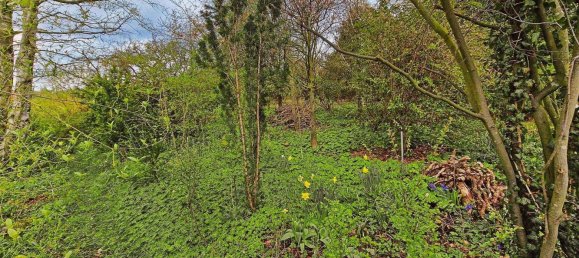 5-Zimmer Haus in Schaumburg, Germany, Nr. 188030 15