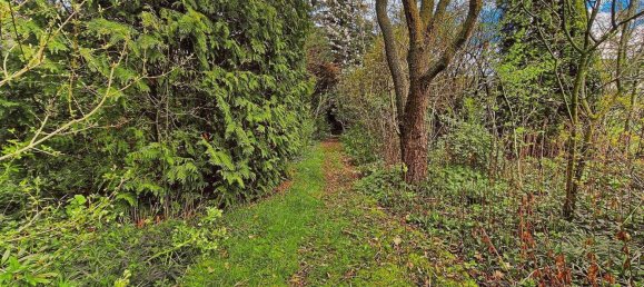 5-Zimmer Haus in Schaumburg, Germany, Nr. 188030 16