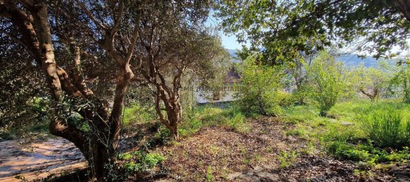 6-Zimmer Villa in Ascoli Piceno, Italy, Nr. 8771 31