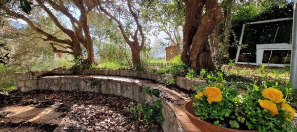 6-Zimmer Villa in Ascoli Piceno, Italy, Nr. 8771 18