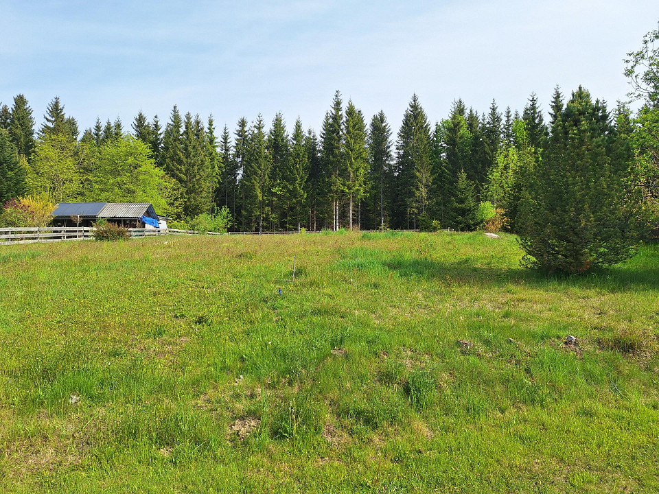 Terreno en Preitenegg, Austria No. 130070