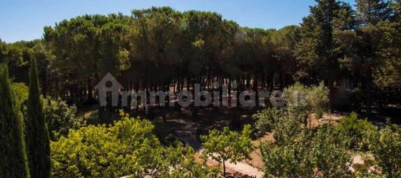 Villa T4 em Martina Franca, Italy N.º 156843 10