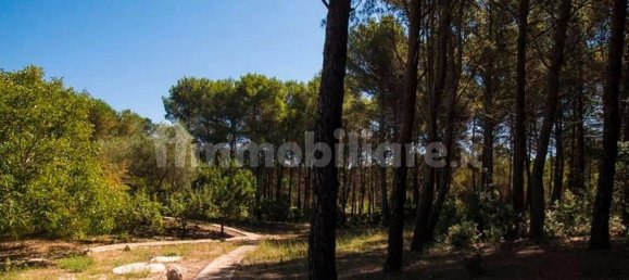 Villa T4 em Martina Franca, Italy N.º 156843 32