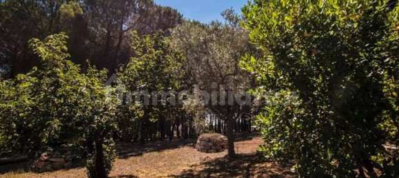 Villa T4 em Martina Franca, Italy N.º 156843 37