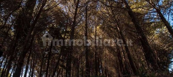 Villa T4 em Martina Franca, Italy N.º 156843 33