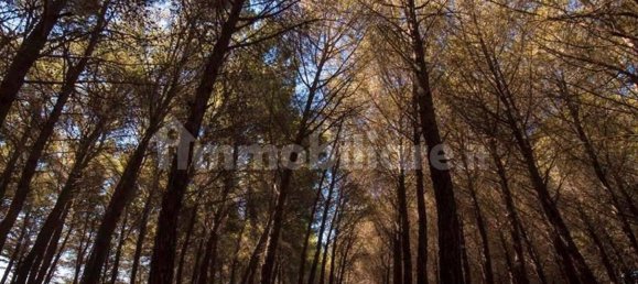 Villa T4 em Martina Franca, Italy N.º 156843 39