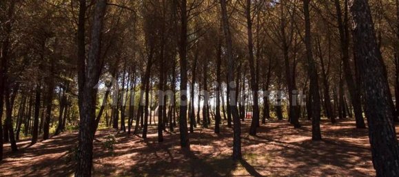 Villa T4 em Martina Franca, Italy N.º 156843 38