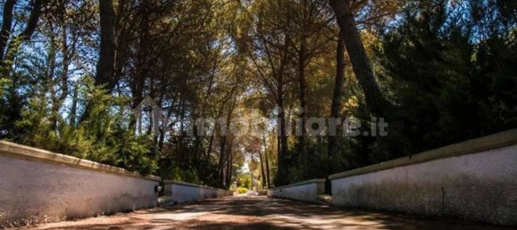 Villa T4 em Martina Franca, Italy N.º 156843 7