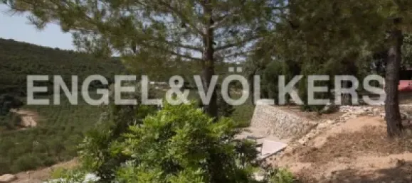 4 bedrooms House in Valencia, Spain No. 155262 45