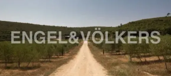 4 bedrooms House in Valencia, Spain No. 155262 50