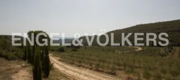 4 bedrooms House in Valencia, Spain No. 155262 46