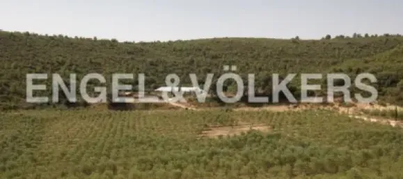 4 bedrooms House in Valencia, Spain No. 155262 3