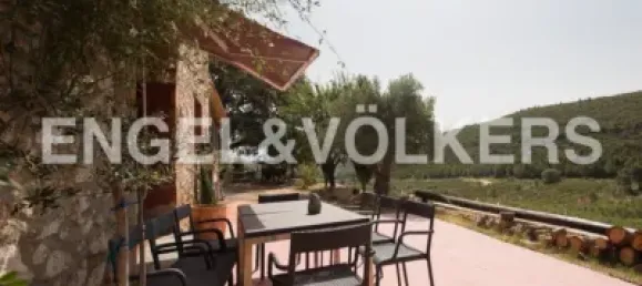 4 bedrooms House in Valencia, Spain No. 155262 2