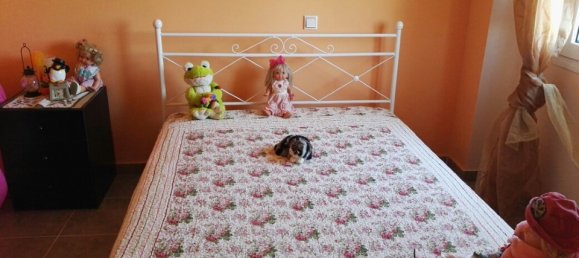 3 bedrooms Commercial property in Chalkidiki, Greece No. 6371 10